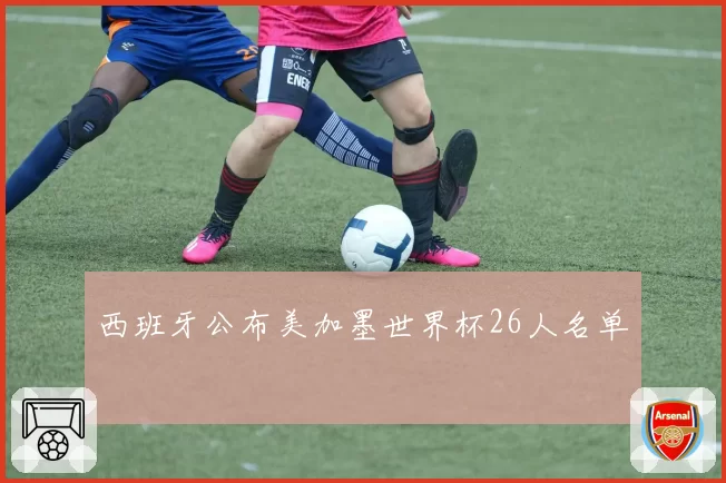 西班牙公布美加墨世界杯26人名单