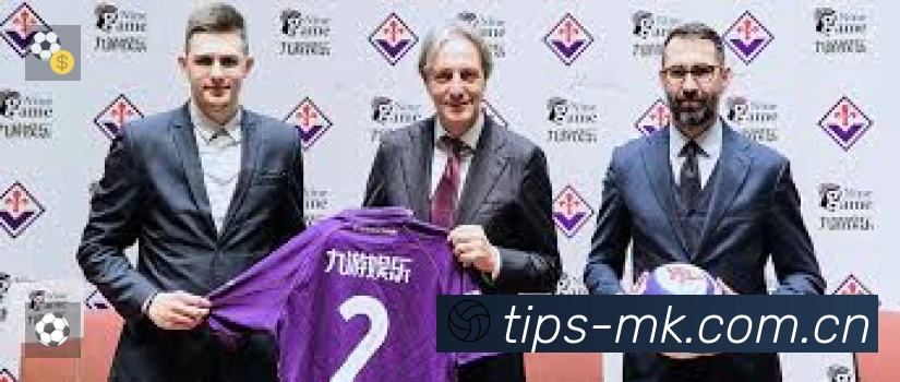 MK体育平台展示